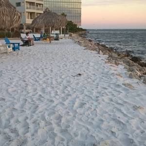 Meet your Posher, Carole